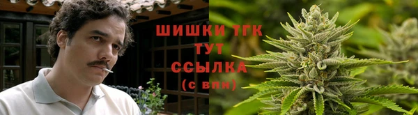 дживик Касимов