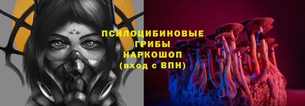 дживик Касимов