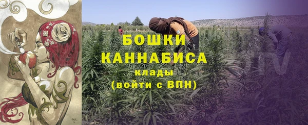 МДПВ Карпинск