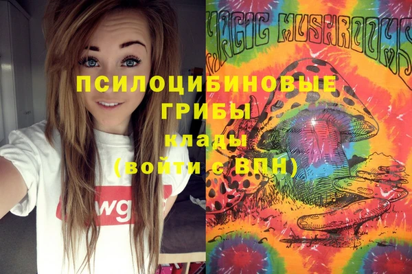 дживик Касимов
