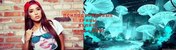 МДПВ Карпинск