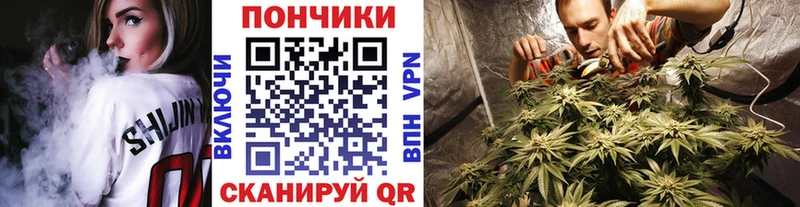 Купить  Енисейск  Канабис план 